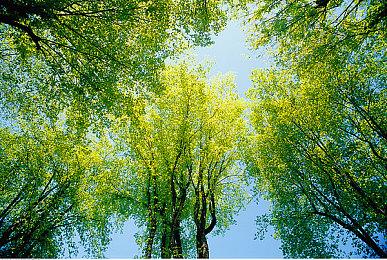 停不下来了？育碧股价又跌了